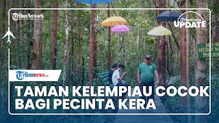Jadi Objek Wisata Edukasi di Sekadau, Taman Kelempiau Cocok Bagi Wisatawan Pecinta Kera