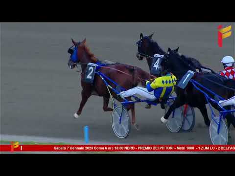 VI corsa del 7 gennaio 2023 - 5 Anni ed oltre - Metri 1600 - Gara centrale