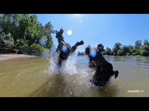 Dunakeszi Dunapart 2025