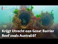 Kunstmattige riffen moeten zorgen voor meer vissen en planten in Utrechts water
