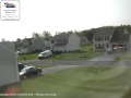 May 29 2010