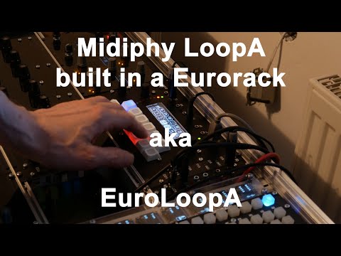 Midiphy LoopA in Euro Rack  - aka - Euro LoopA