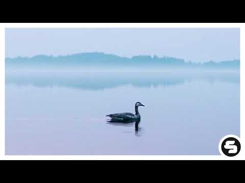 Jonas Schmidt, Fenox, Laeko - Take What's Yours (feat. Mingue) [Damboo Remix]