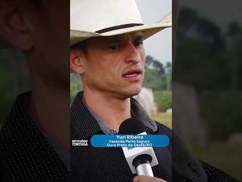 A Cria a pasto que vence a seca e evolui a cada ano | Noticiário Tortuga