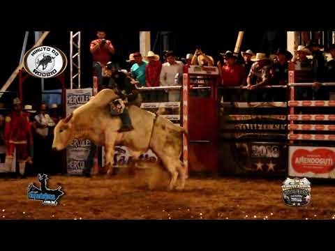 Herculandia Rodeo Fest | Quinta-feira (Todas Montarias)
