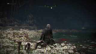 Elden Ring - Defeating Malenia