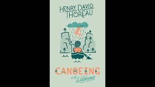 Canoeing in the Wilderness