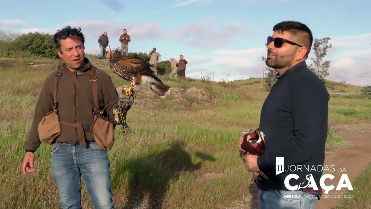 2ª edição das Jornadas da Caça // Queres ser Falcoeiro