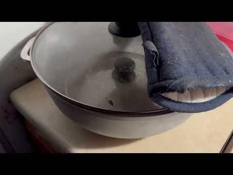 Cockroaches Take Control of Apartment in Manahawkin, NJ