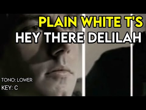 Plain White T's - Hey There Delilah - Karaoke Instrumental - Lower