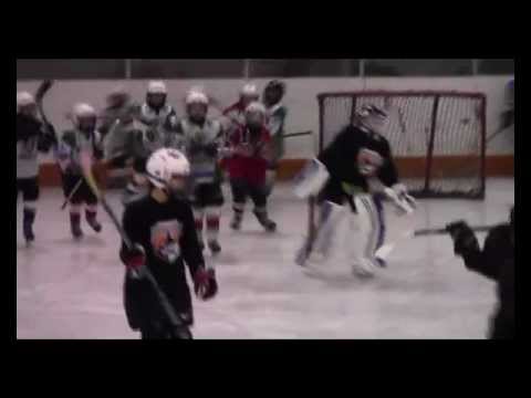 Veszprémi Jéglovagok