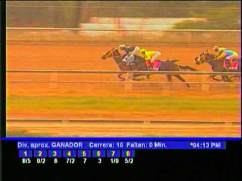 American Woman sacó la clase en la Copa Dama del Caribe 2010