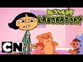Dexter S Laboratory Tribe Called Girl Clip