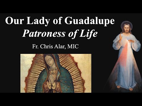 Explaining the Faith - Our Lady of Guadalupe: Patroness of Life