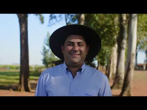 Frigorífico Callegaro - 20 de Setembro