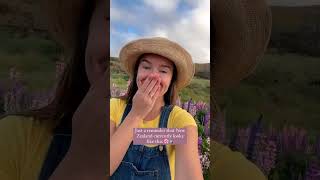 Comment ‘guide’ to receive a link to my NZ guide that includes 193 places to see and things to do