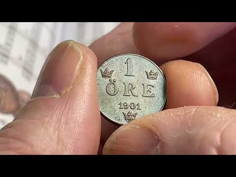 Så hanterar du mynt på ett korrekt sätt - Jag demonstrerar hur du gör Roberto Delzanno Mynthandel