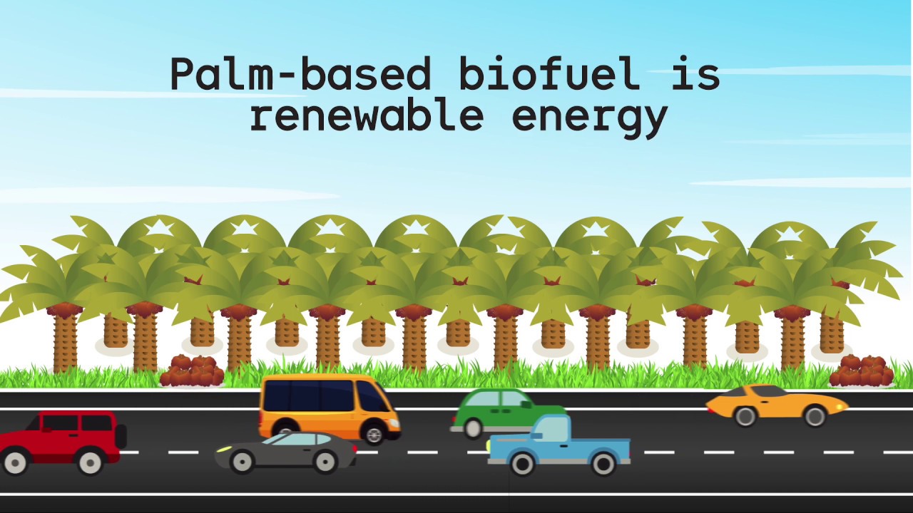 Palm Biodiesel is the future of Malaysia!