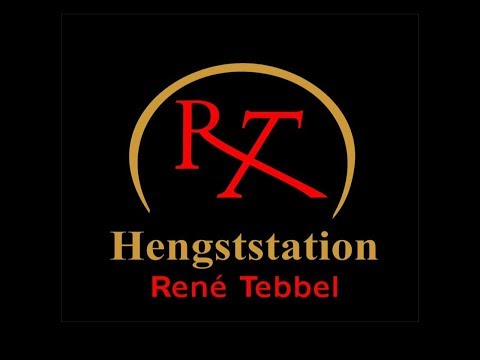 Fürst Fabrice Hengstschau Vechta 2020