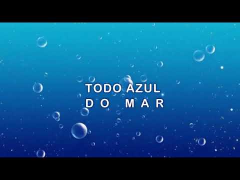 FLÁVIO VENTURINI / TODO AZUL DO MAR / LETRA / LEGENDA