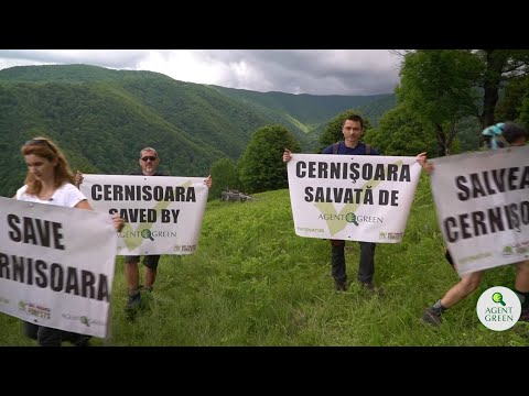 Cum se salvează o pădure