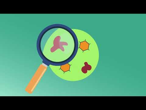 Targeted Cancer Therapies | Community Health