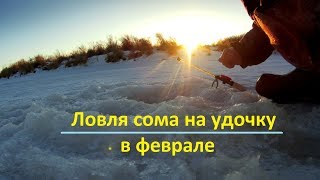 На чего ловят сома зимой