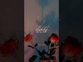 Islamic What S App Status Teen Aesi Nekiyan Hai Status Shorts Urdu Thoughts ️