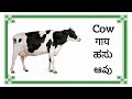 Animal Names in English, Hindi, Kannada, Telugu | Animals name for kids | Animals Video