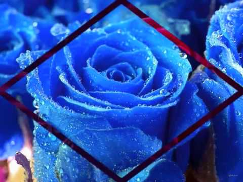 SpaikRV ft. Nim - Thelw na sou pw ( i want to tell you )