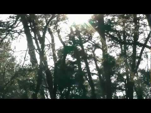 'Cripes A'Mighty' P51D Mustang RC 1/24th profile scale warbird