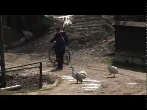 Moldvai csángók - "A beteg ember". Solomon Adrián és Borboly Csaba