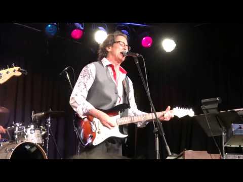 Gary Lewis & The Playboys - She's Just My Style