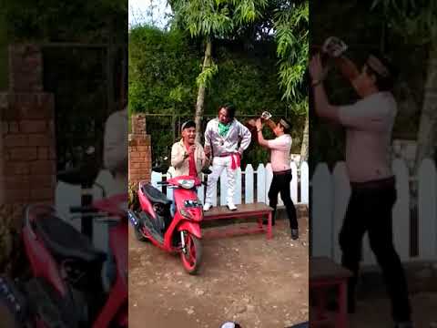 Elvis bopak castello