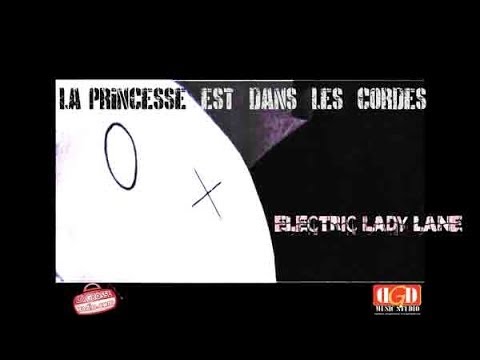 LA PRINCESSE EST DANS LES CORDES - Electric Lady Lane - Nouveau clip.