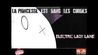 LA PRINCESSE EST DANS LES CORDES - Electric Lady Lane - Nouveau clip.