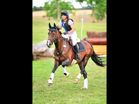BaWü Meisterschaften Vielseitigkeit in Nußdorf 2017