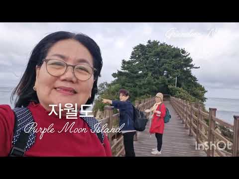 Happy moments at 자월도 Purple Moon Island