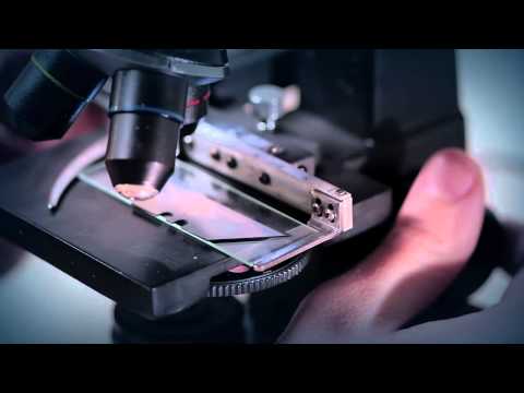 Topex Universalus elektroninis skaitiklis video