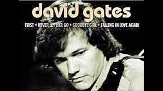 David Gates ～ Part Time Love / Light Of My Life  (Original Record Version)