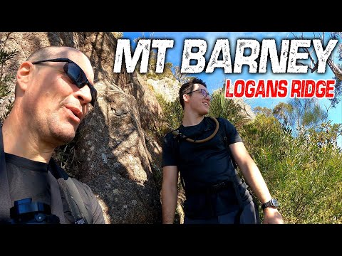Mt Barney: Queensland's Premiere Hiking Mountain // Logans Ridge - East & West Peaks