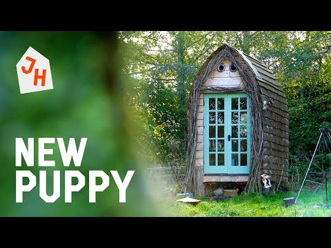 My Tiny House CABIN Tour | One Man and His New Muddy Puppy