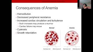 NUR203 Week 6 Hematology, Immunology, and Cancer M 3-530 PM EST