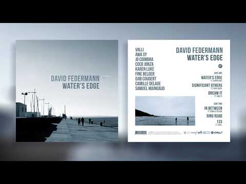 David Federmann - Significant Others (feat. Coco Jonza)