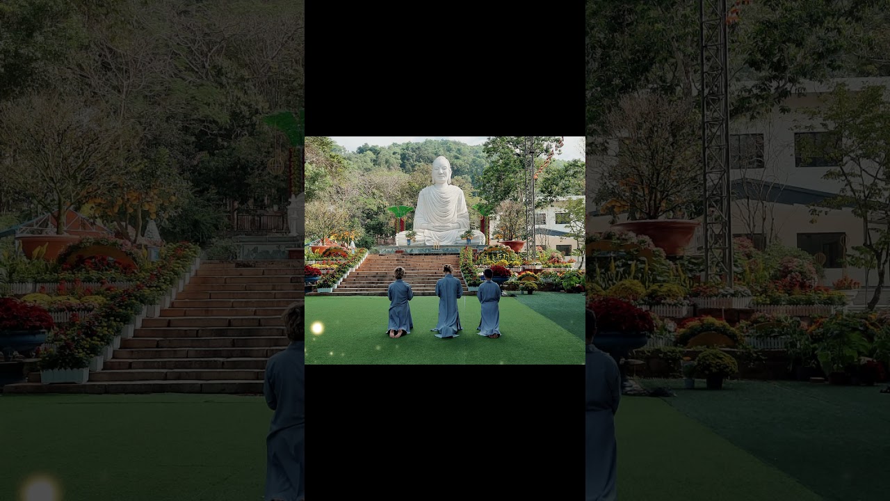 4 Recommentdations for Meditation Retreats in Vietnam