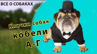 Самые подходящие имена для щенков немецкой овчарки