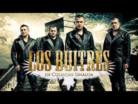 (Letra) Los buitres de culiacan sinaloa Niño Sicario