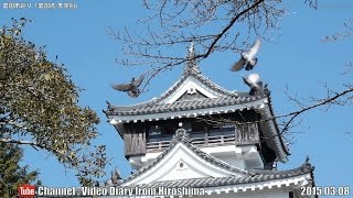 preview picture of video '岩国市巡り Part07 岩国城 天守閣 Iwakuni City Tour,Iwakuni Castle tower,Yamaguchi Pref,Japan'