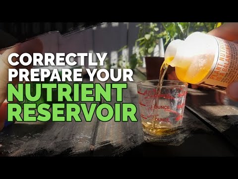 How to Prepare Water for Hydroponics