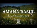 Amana Rasul | English Translation | Mufti Menk
